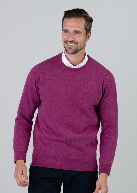 Gordon 1 Ply Geelong Crew Neck - Loganberry - 1