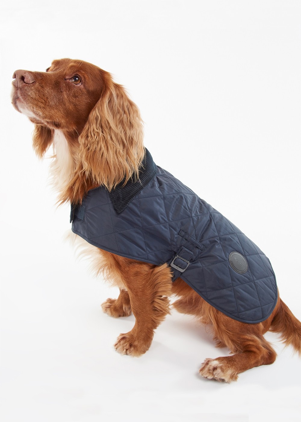 Quilted Dog Coat - Navy - 2