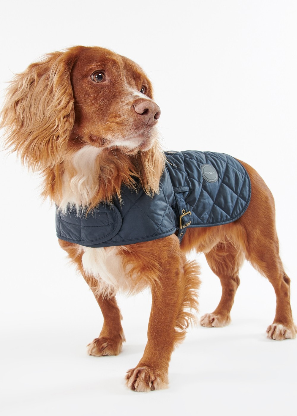 Quilted Dog Coat - Navy - 7