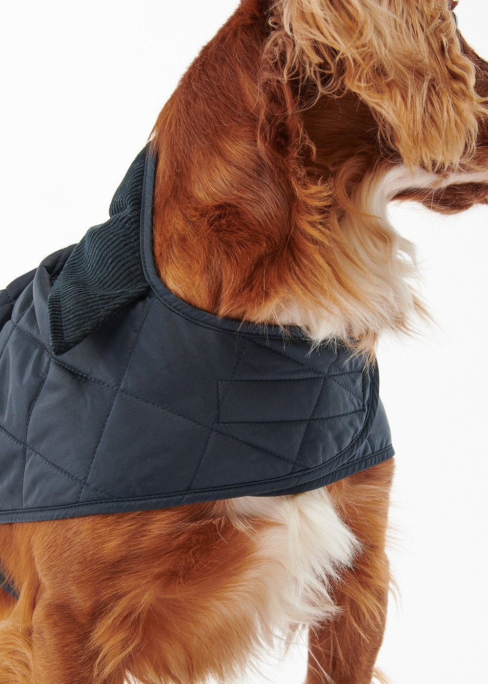 Quilted Dog Coat - Navy - 8