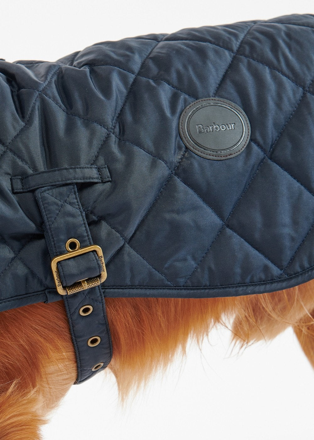 Quilted Dog Coat - Navy - 9