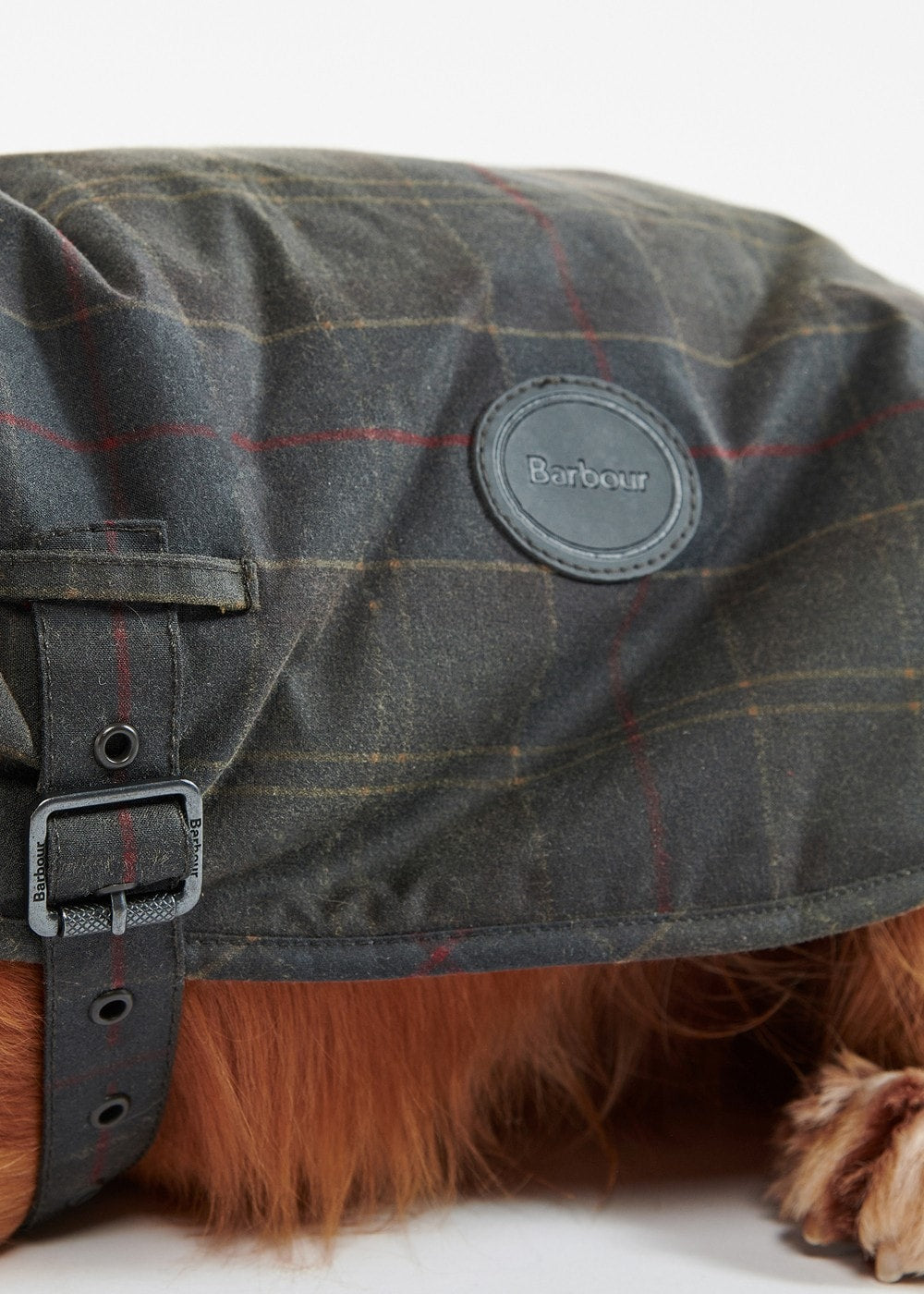 Tartan Wax Dog Coat - Classic Tartan - 4