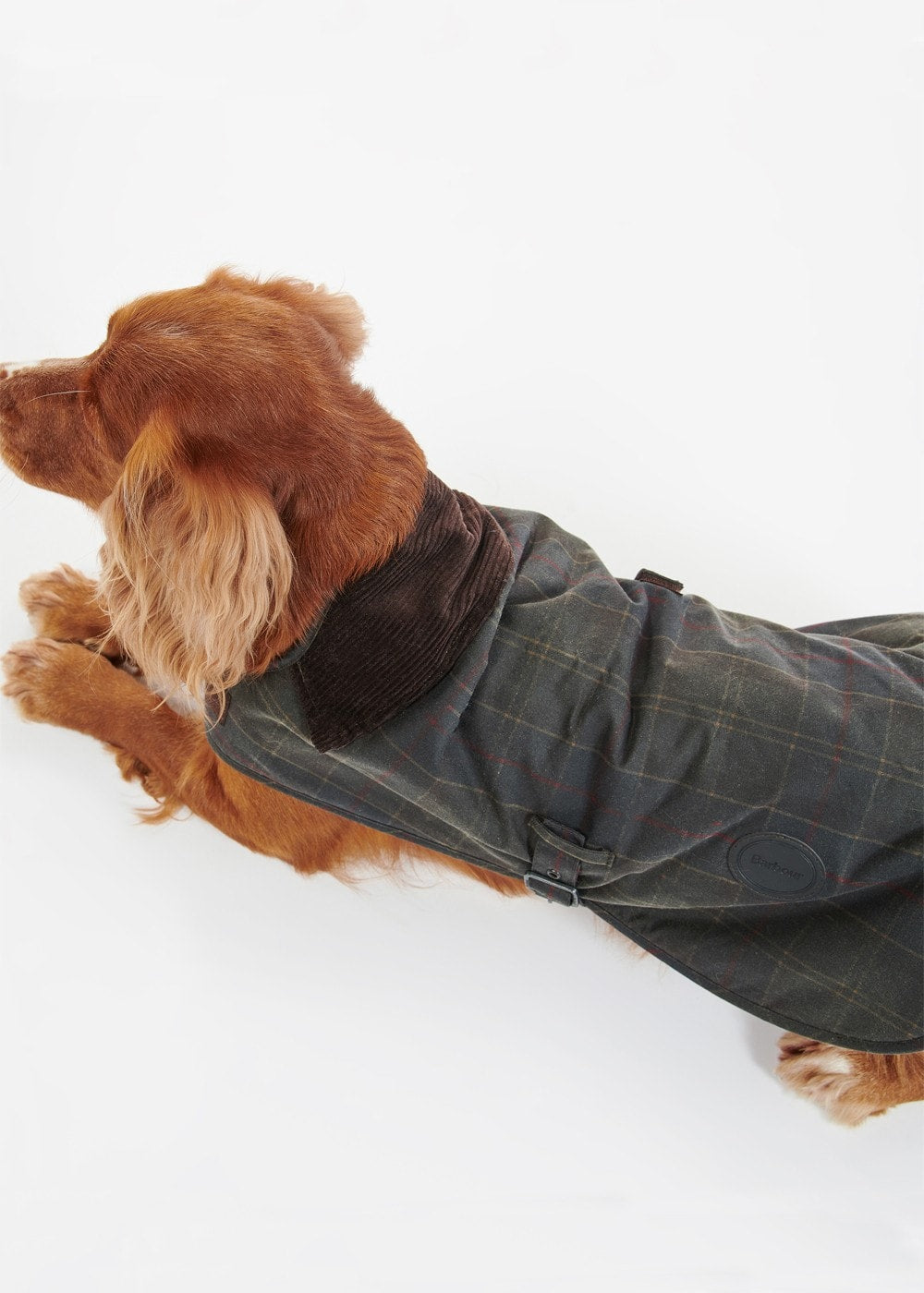 Tartan Wax Dog Coat - Classic Tartan - 5