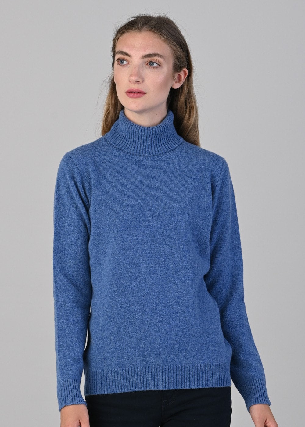 Lindsey Lambswool Roll Neck - Lapis - 2