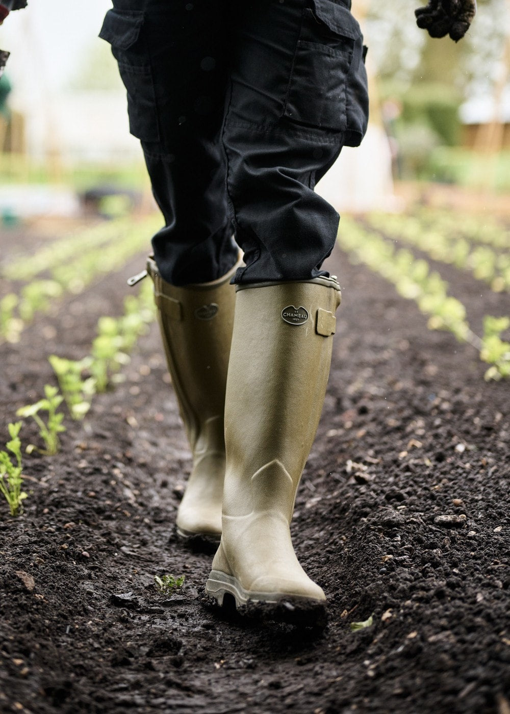 Chasseur Cuir Wellingtons - Vert Vierzon - 2