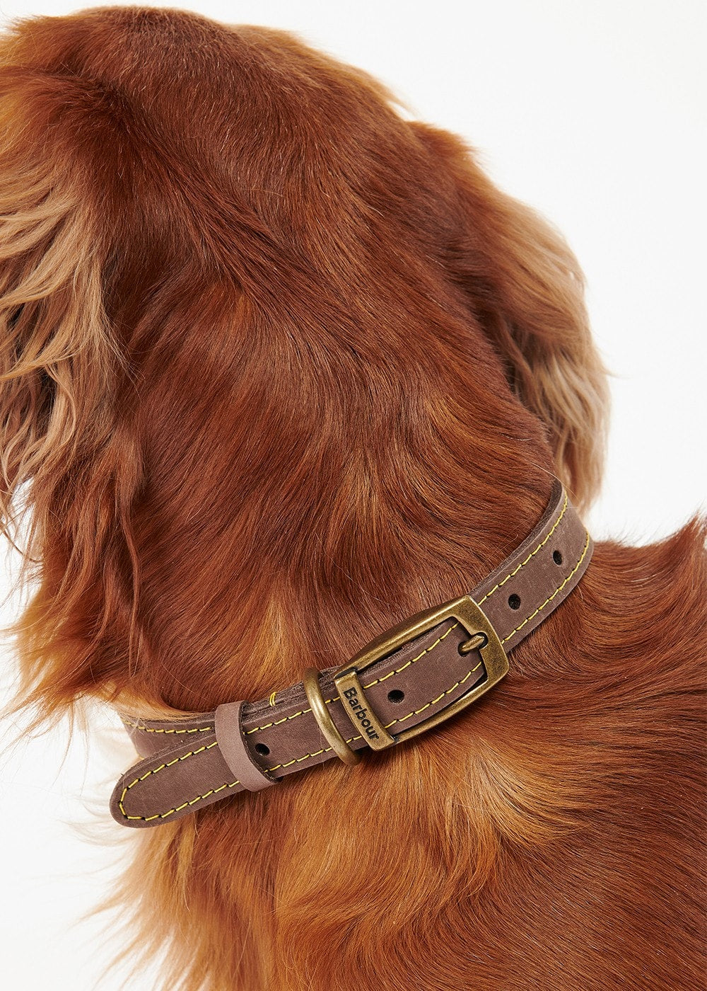 Leather Dog Collar - Brown - 3