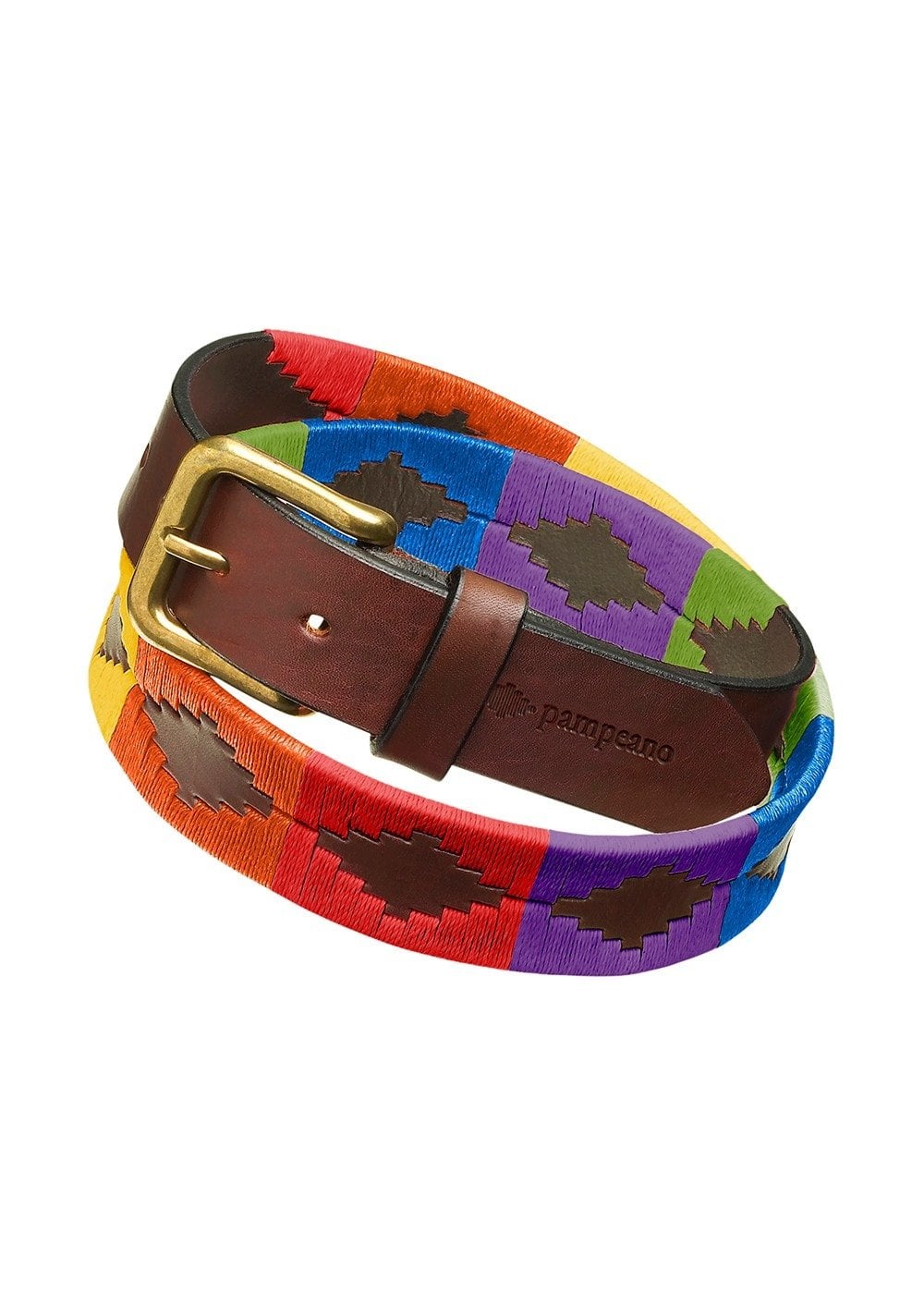 Igualdad 1.5" Polo Belt - Brights - 1