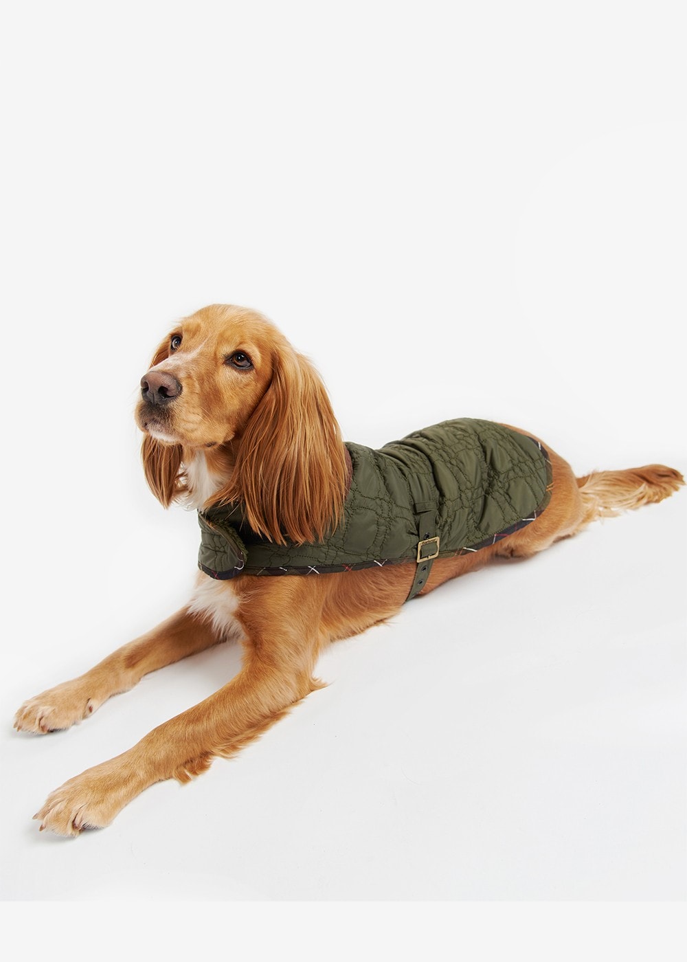 Bone Quilted Dog Coat - Dark Olive - 2