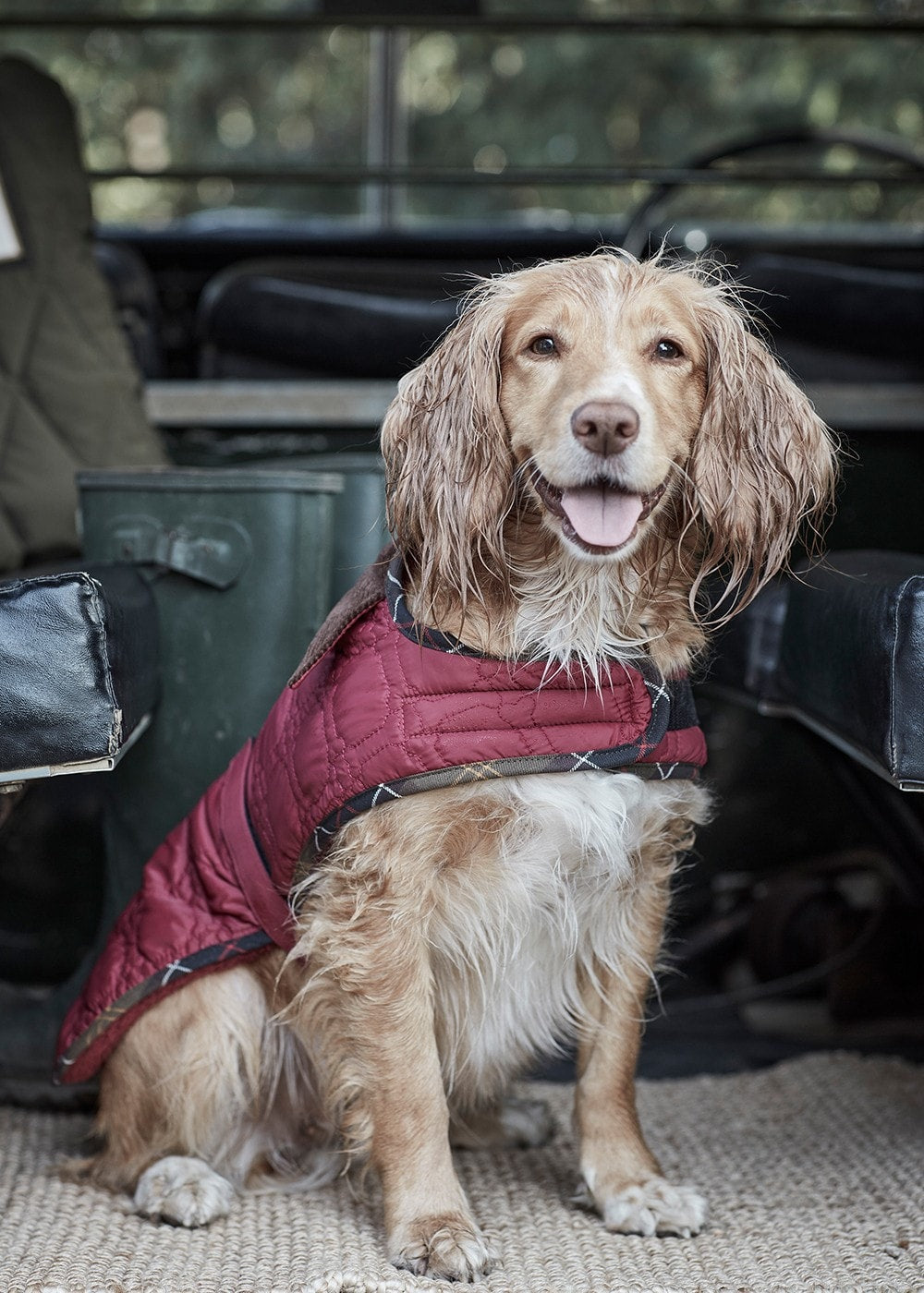 Bone Quilted Dog Coat - Cranberry - 2