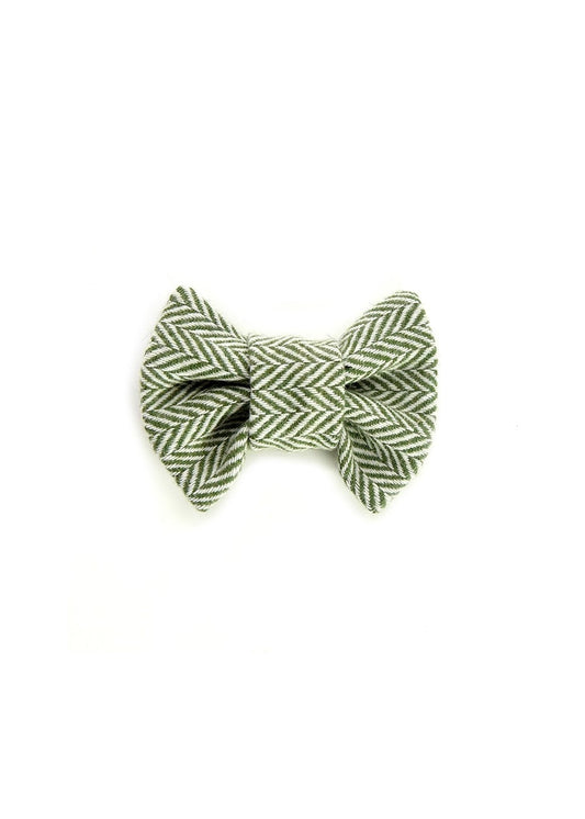 Teviot Dog Bow Tie - Olive - 0