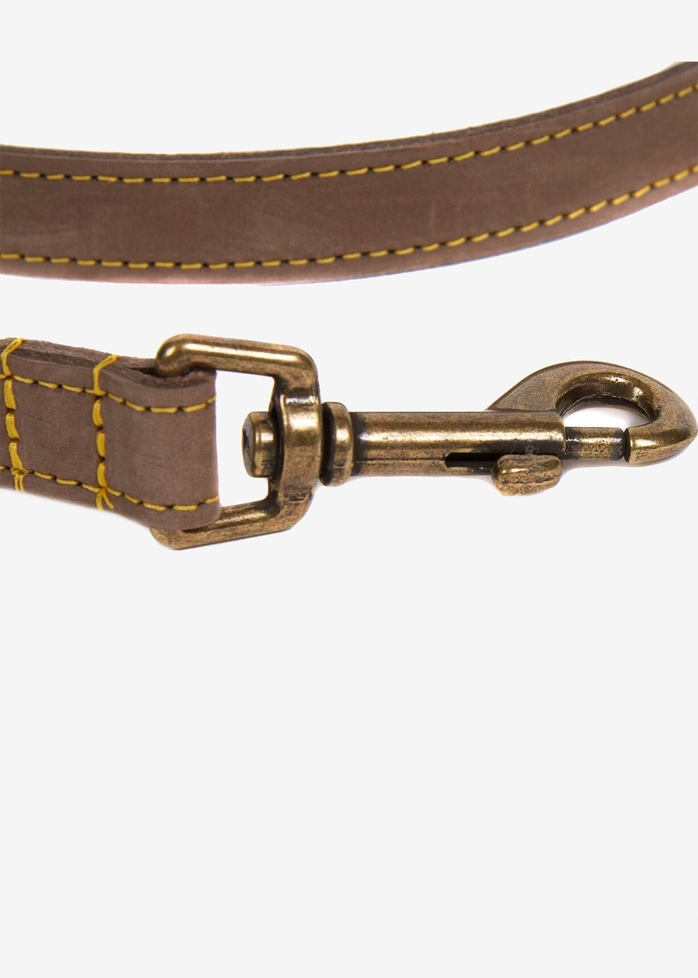 Leather Dog Lead - Brown - 2