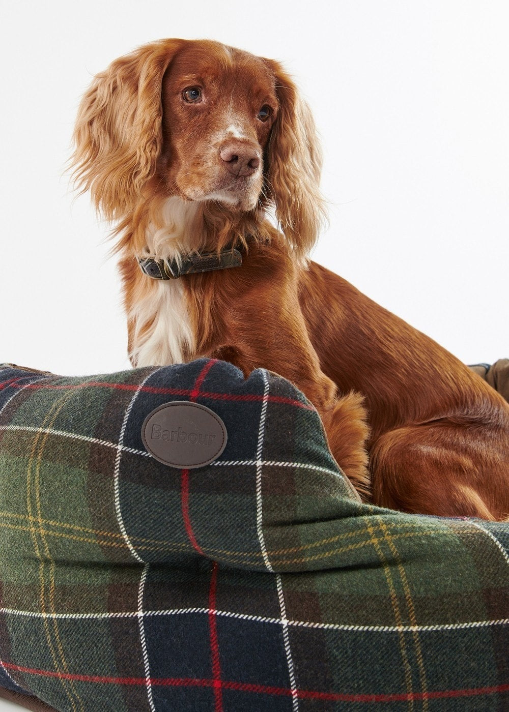 35in Luxury Dog Bed - Classic Tartan - 4