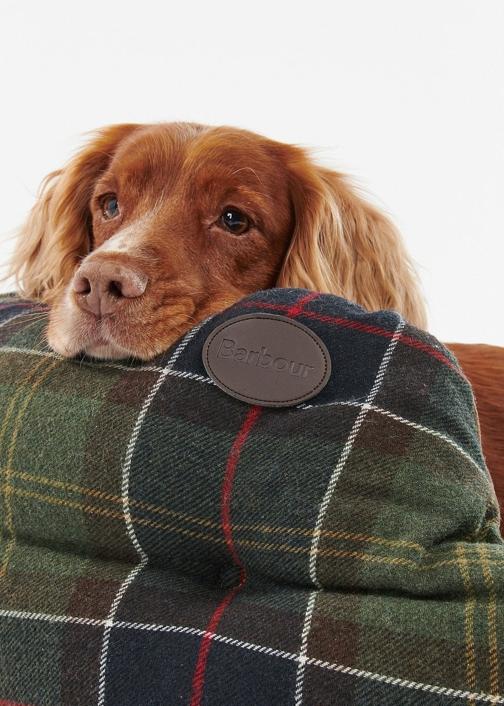 35in Luxury Dog Bed - Classic Tartan - 5