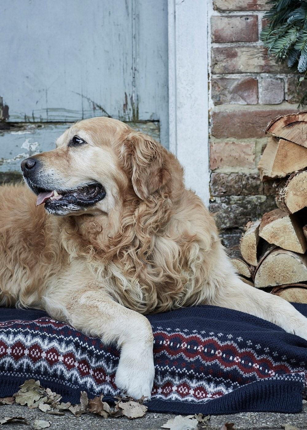 Case Fairisle Dog Blanket - Blue Granite - 1