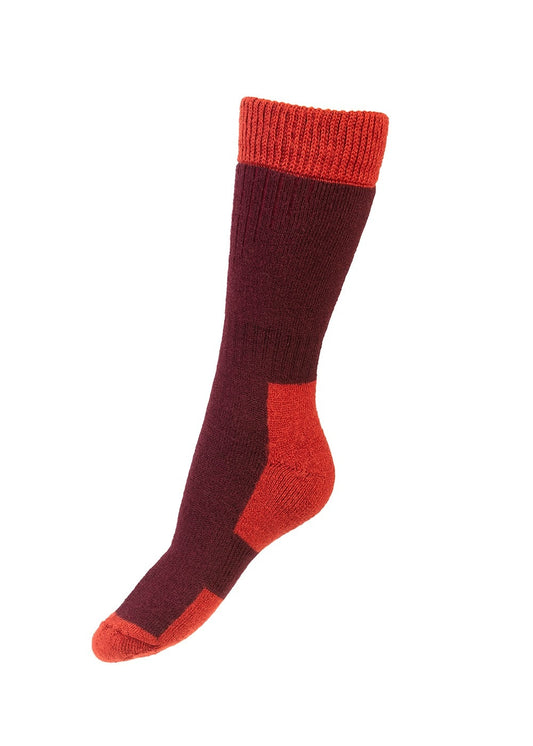 Linton Socks - Mulberry and Chestnut - 1