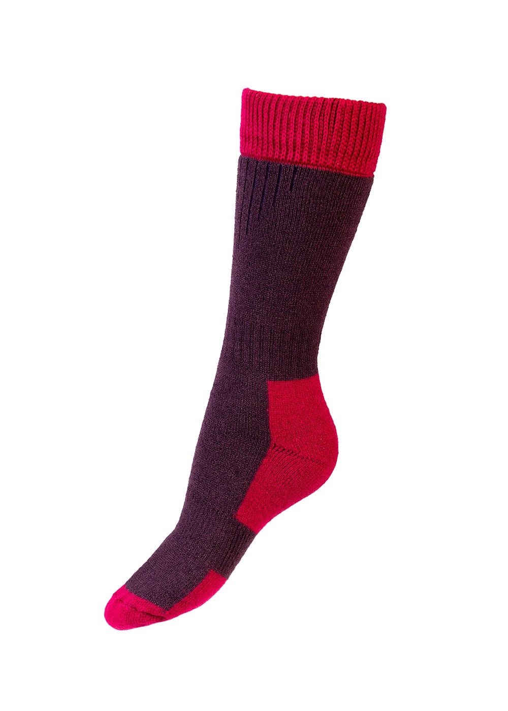 Linton Socks - Thistle and Fuchsia - 1