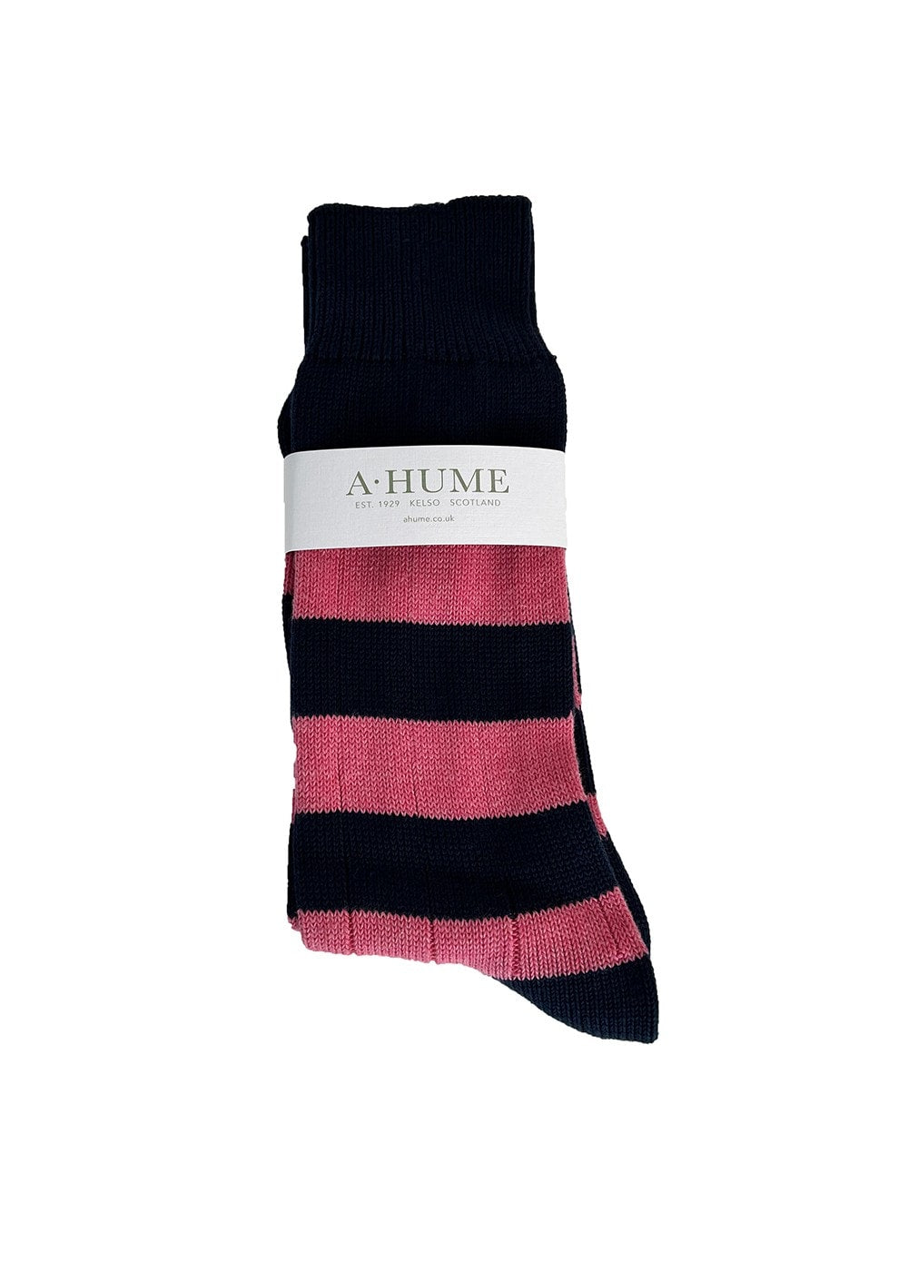 Rugger Stripe Socks - Navy and Dakaar - 1