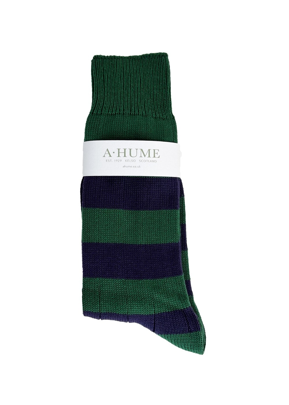 Rugger Stripe Socks - Forest and Amethyst - 1