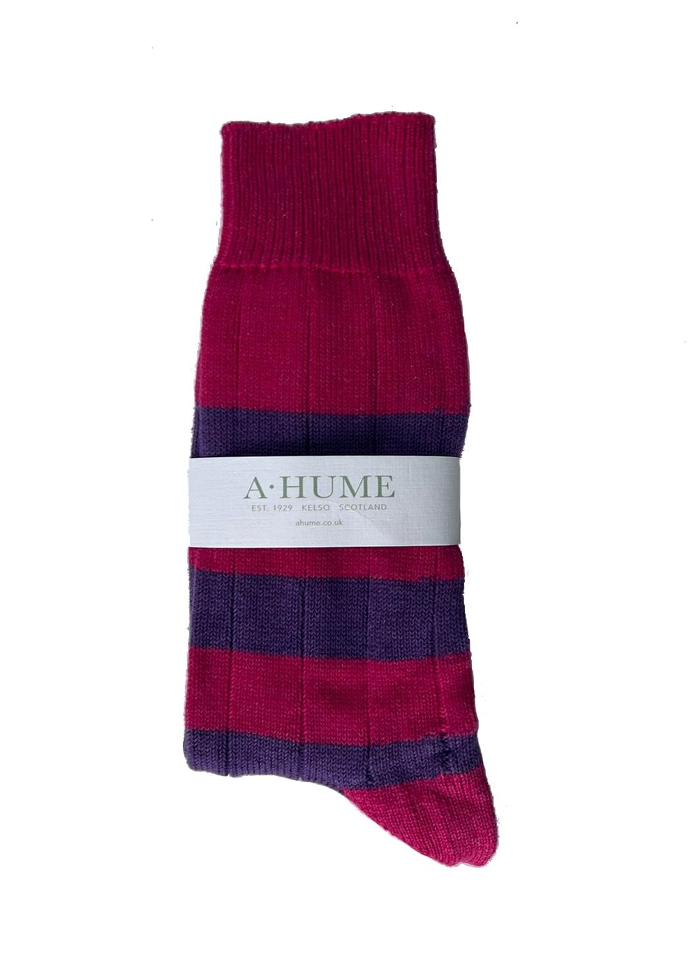 Rugger Stripe Socks - Hot Pink and Grape - 1